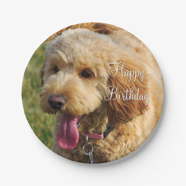 Prato De Papel Feliz Aniversário Cão de Goldendoodle (Frente)