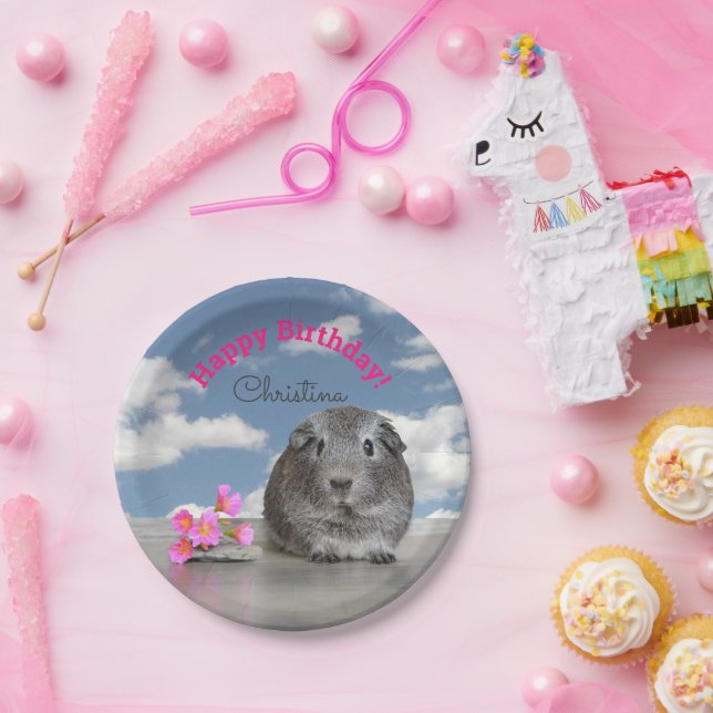 Prato De Papel Feliz aniversário das crianças Guiné Pig Sky (Festa)