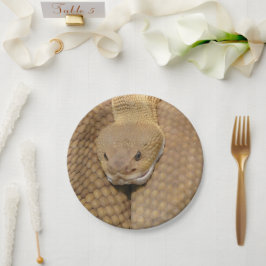 Prato De Papel Feliz aniversário do Cobra