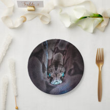 Feliz aniversário do Cobra