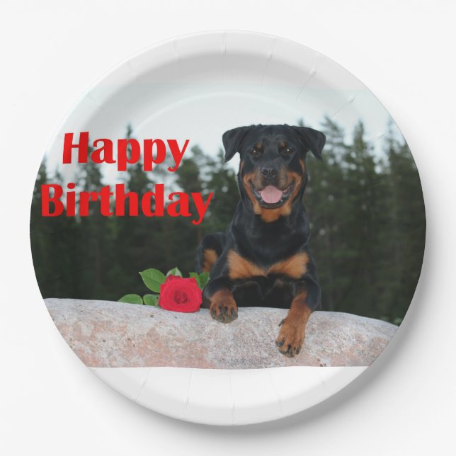 Prato De Papel feliz aniversário do rottweiler (Frente)
