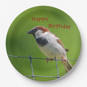 Prato De Papel Feliz Ave Plate Birthdy