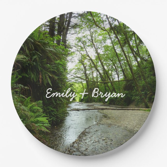 Prato De Papel Fern Canyon II no Parque Nacional de Redwood (Frente)