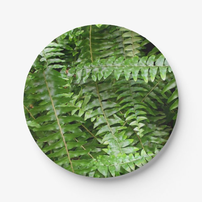 Prato De Papel Fern Frontes I Green Nature (Frente)