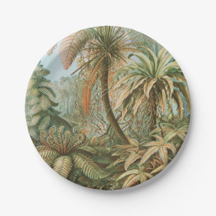 Prato De Papel Ferns, Filicinae Laubfarne por Ernst Haeckel