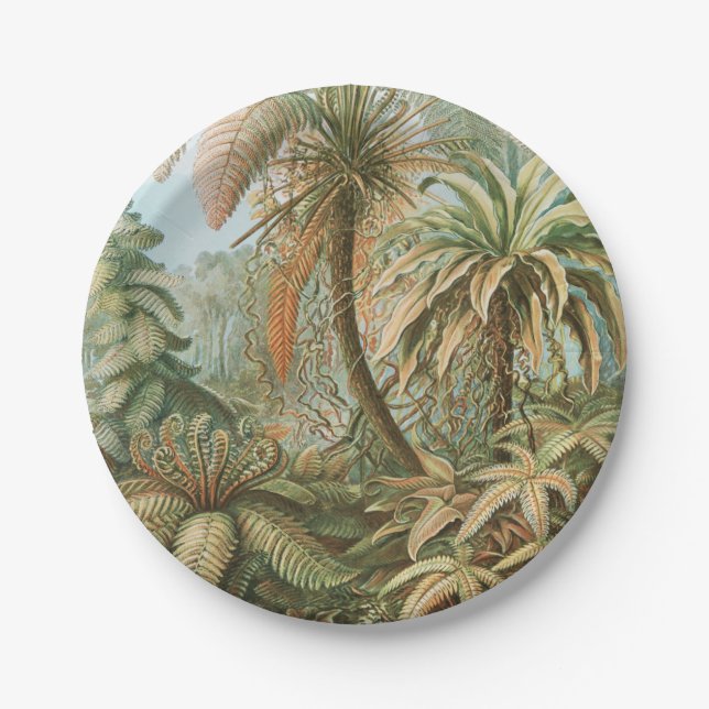 Prato De Papel Ferns, Filicinae Laubfarne por Ernst Haeckel (Frente)