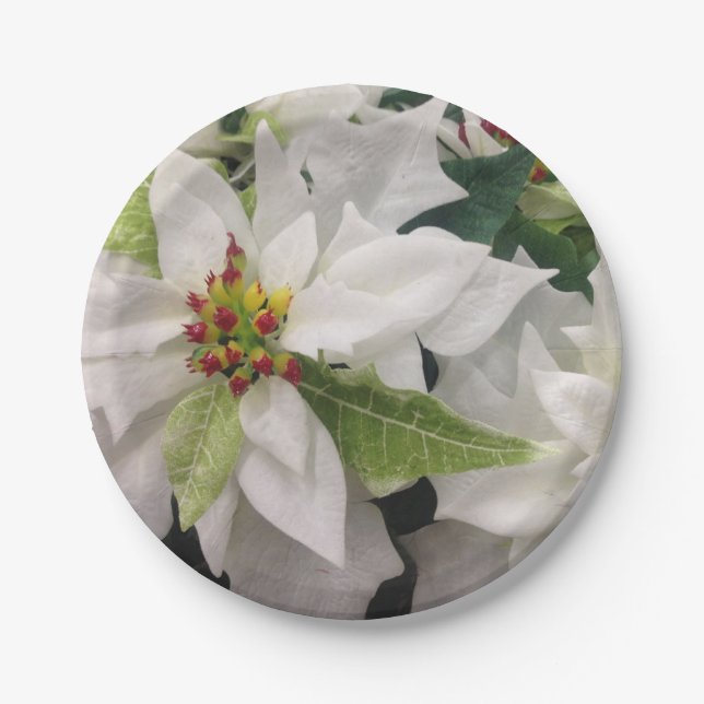 Prato De Papel Festa de Natal de Poinsettia Branca (Frente)