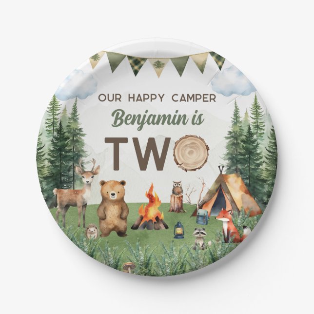 Prato De Papel Festa de segundo aniversário de acampamento (Frente)