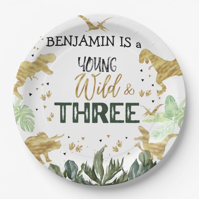 Prato De Papel Festa do aniversário de 3 anos Dinossauro (Frente)