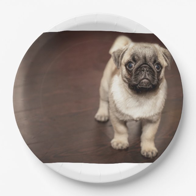Prato De Papel filhote de pug em sépia (Frente)