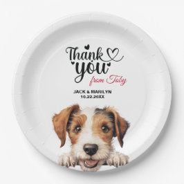 Prato De Papel Fio Fox Terrier