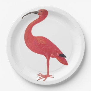 Prato De Papel Flamingo - Placas de Papel de Bela Arte