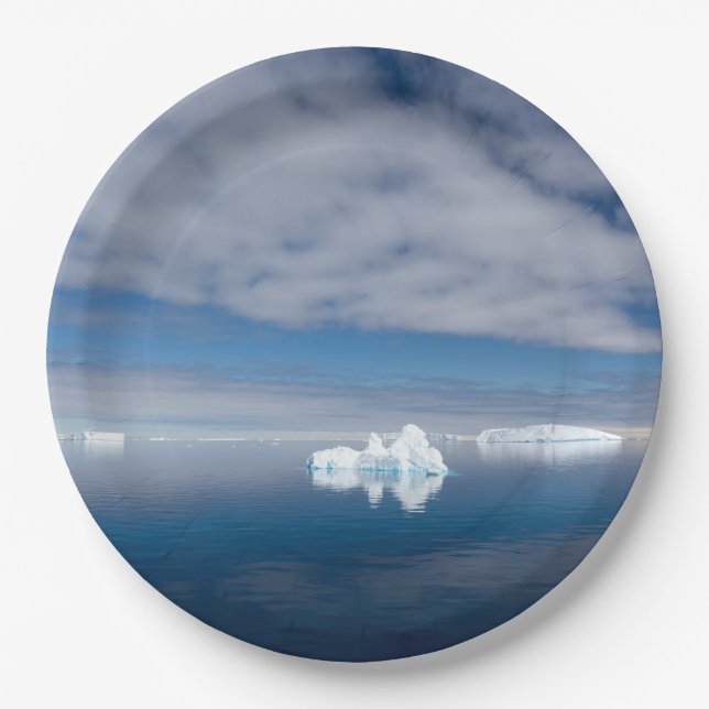 Prato De Papel Floating ice in Antarctica (Frente)