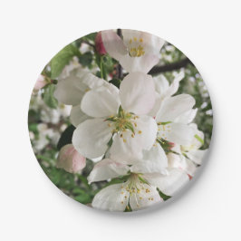 Prato De Papel Flor de maçã
