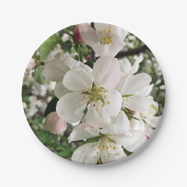 Prato De Papel Flor de maçã (Frente)