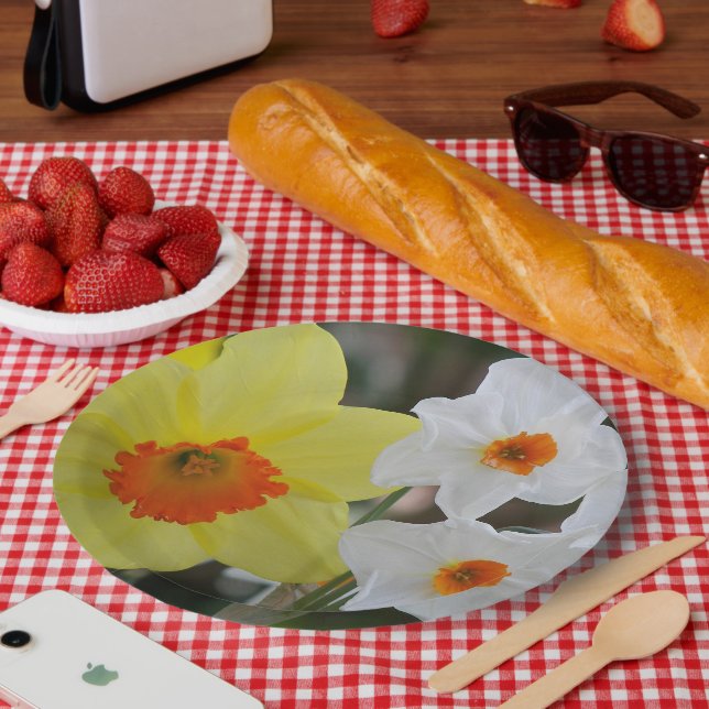 Prato De Papel Flor de Narciso na Primavera Floral (Piquenique)