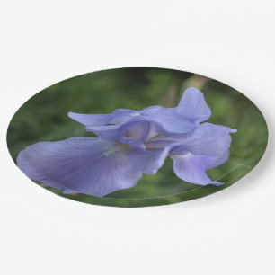 Prato De Papel Flor Iris Azul bonito