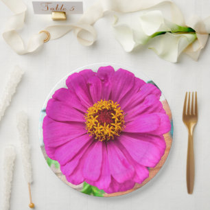 Prato De Papel Flor Roxo Zinnia em Bloom