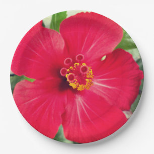 Prato De Papel Flor Vermelha de Hibisco Rosa-sinensis