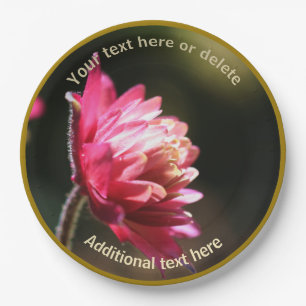 Prato De Papel Flor Vermelho Em Partido Personalizado À Luz Do So