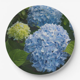 Prato De Papel Floral Blue Hydrangea Foto