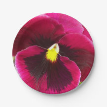 Floral bonito Purple Pansy