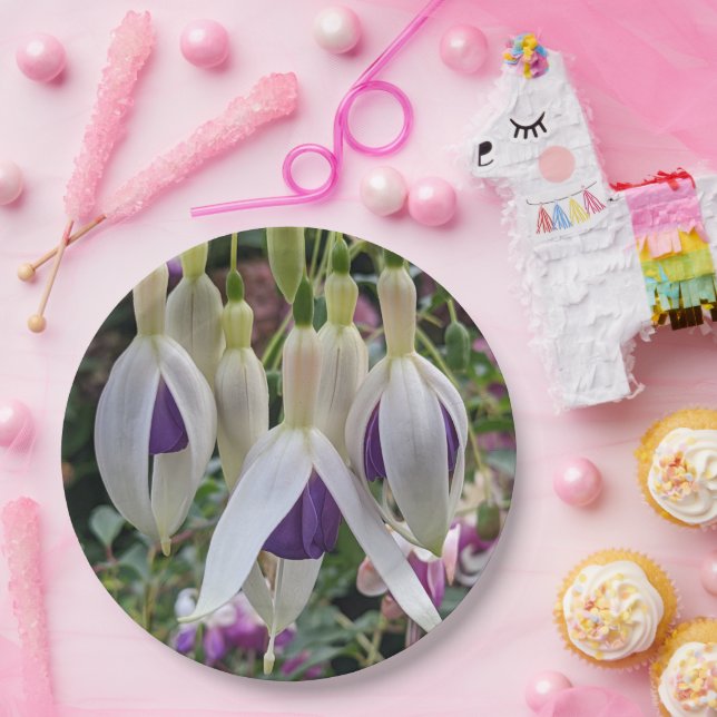 Prato De Papel Floral da Fúchsia Púrpura e Branca (Festa)