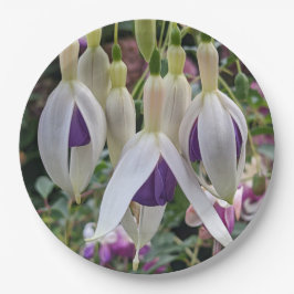 Prato De Papel Floral da Fúchsia Púrpura e Branca