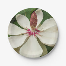 Floral do Flor do Magnolia Japonês