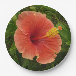 Prato De Papel Floral Tropical de Laranja Hibiscus