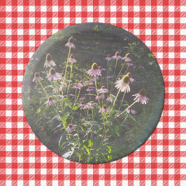 Prato De Papel Flores de Echinacea ao Sol