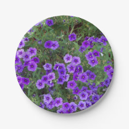Prato De Papel Flores Phlox roxas em um