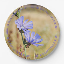 Flores Selvagens pela Manhã