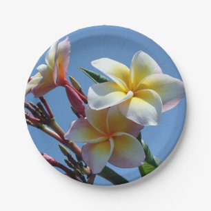Prato De Papel Flores Showy do Frangipani do Plumeria