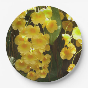 Prato De Papel Flores Tropicais das Orquídeas Amarelas
