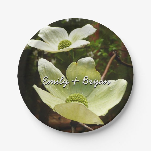 Prato De Papel Florestas e Sequoias no Parque Nacional de Yosemit (Frente)