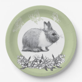 Prato De Papel Fluffy o coelho. desenho do lápis.