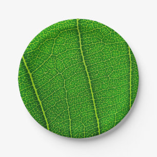 Prato De Papel Folha de árvore verde
