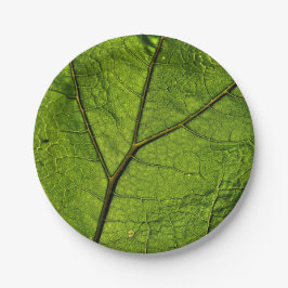 Prato De Papel Folha de Borboleta Verde