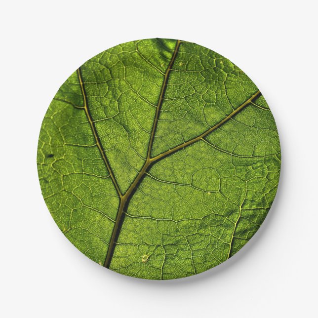 Prato De Papel Folha de Borboleta Verde (Frente)