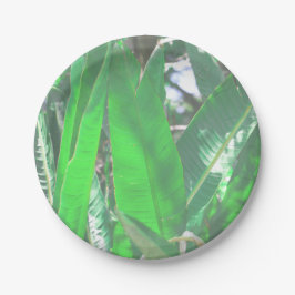 Prato De Papel Folha verde de bananeiras folhas pastosas