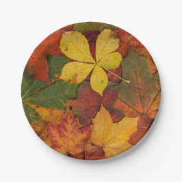 Prato De Papel Folhas de papel de queda