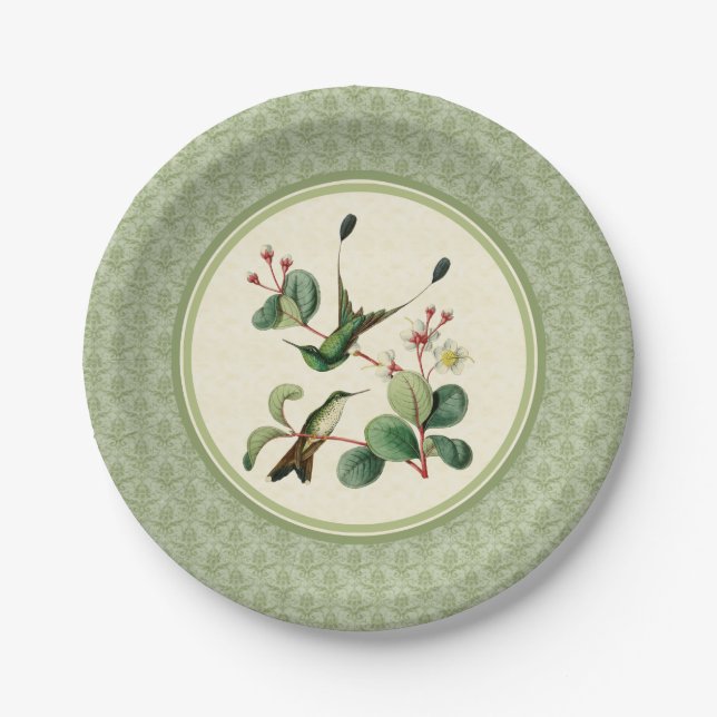 Prato De Papel Folhas de papel Racket Tail Hummingbird (Frente)