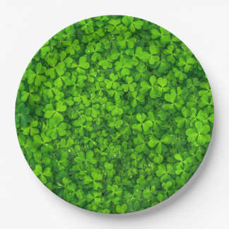 Prato De Papel Folhas de Véu Verde com Gotas de Água