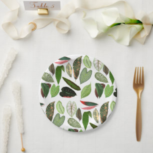 Prato De Papel Folhas de Vintage de Cores Aquáticas Botânicas