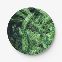 Prato De Papel Folhas verdes
