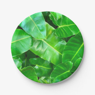 Prato De Papel Folhas verdes Palm Folha Floresta tropical