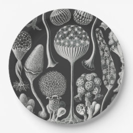 Prato De Papel Formas artísticas da natureza