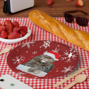 Prato De Papel Foto da farsa do gato do Natal com chapéu do papa