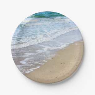 Prato De Papel Foto da praia